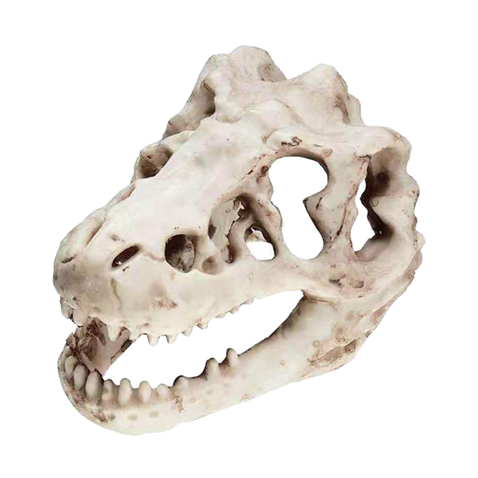 FAKEME Resin Dinosaur Skull Decor for Aquarium, Reptile Tank & Terrarium - Realistic Fish Cave Ornament with Skeleton Design - Perfect for Aquatic Pets, Lizards & Home Decoration