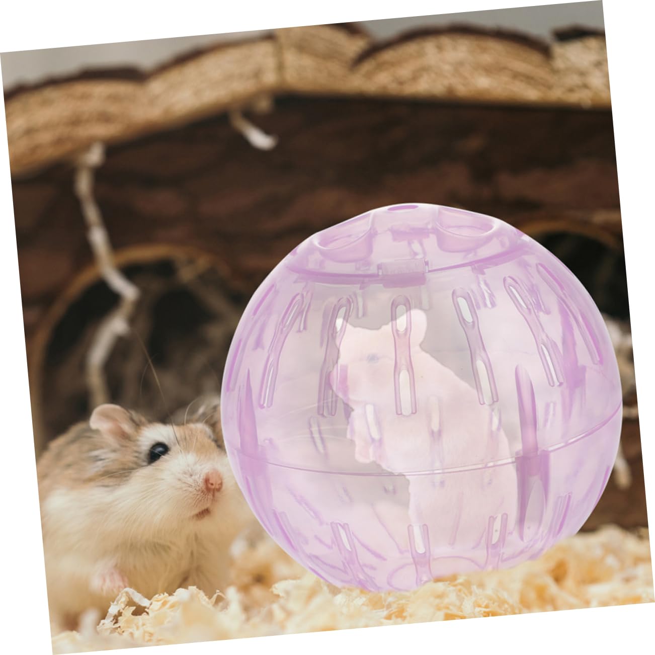 Clear Hamster Exercise Ball - Safe & Fun Running Ball for Dwarf Hamsters, Guinea Pigs, Chinchillas | Pet Exercise Toy for Small Animals | Indoor Play & Fitness Activity for Rodents