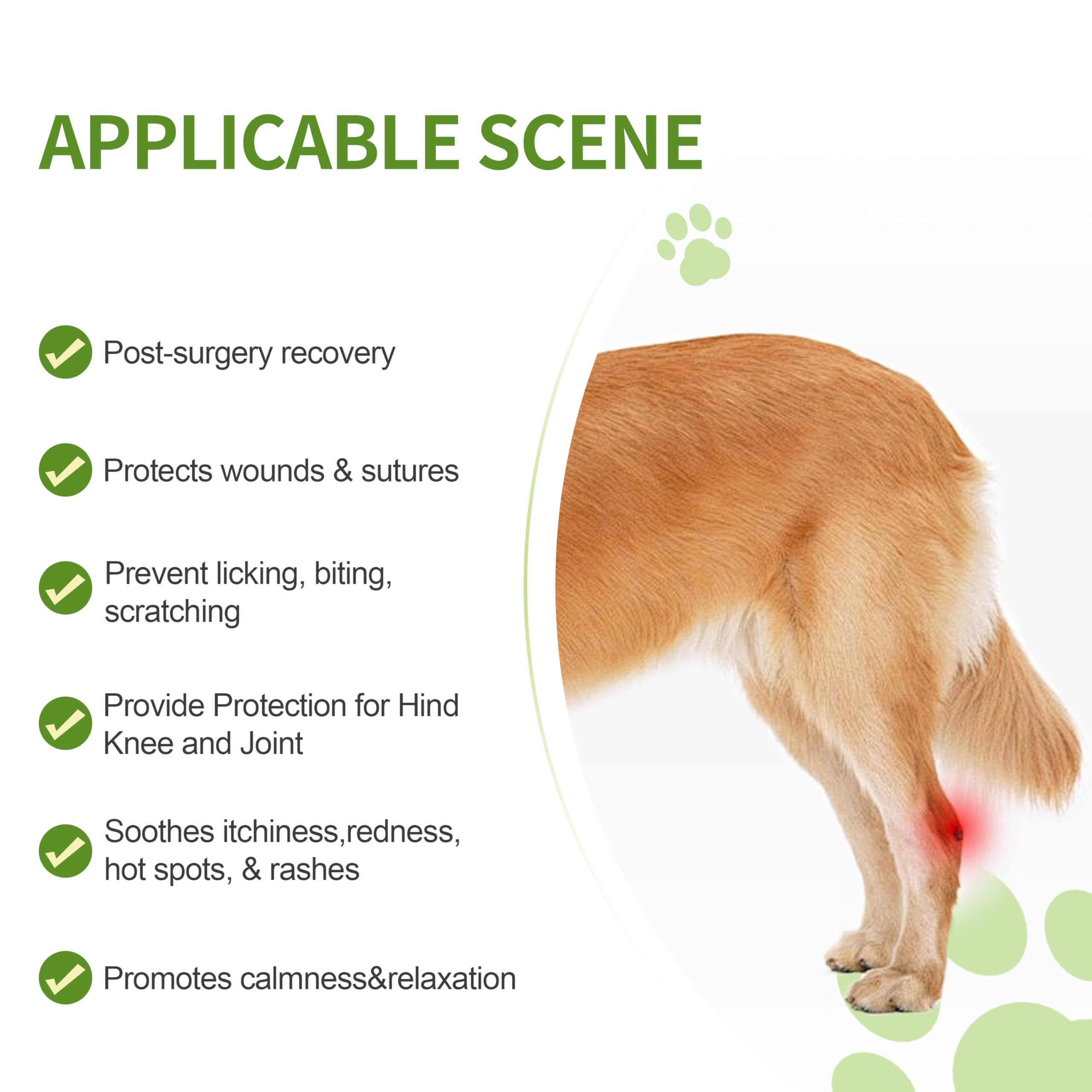 Rear Right Leg Dog Surgery Recovery Suit - Abrasion Resistant & Waterproof Pet Sleeve to Prevent Licking - Reflective Dog Pants Alternative to Cone Collar for Male & Female Dogs (XS) - Ideal for Post-Surgery Care, Wound Protection, and Comfortable Healing