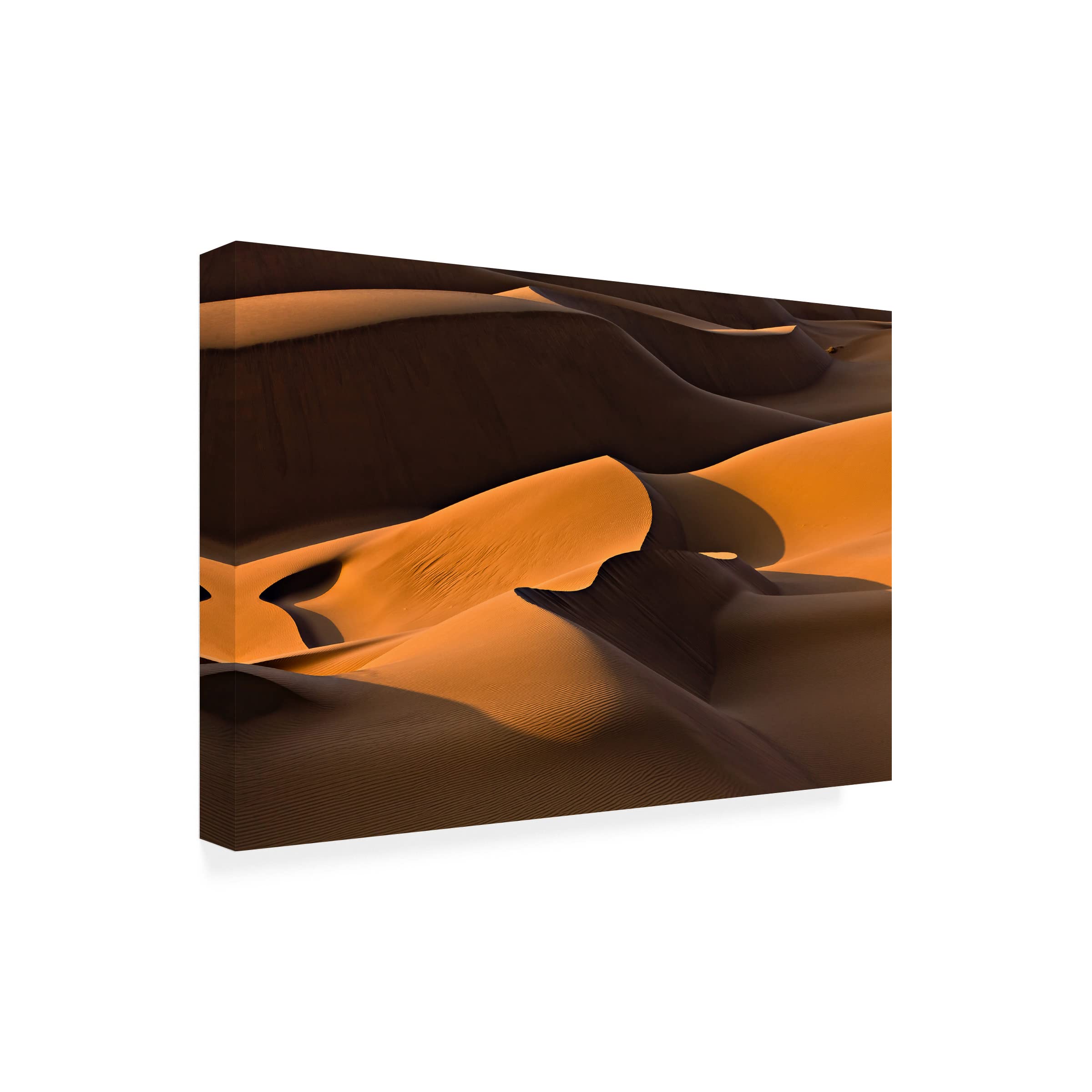 Trademark Fine Art 'Morning Light' Canvas Wall Art by Mohammadreza Momeni - Modern Landscape Painting for Living Room, Bedroom & Office Decor