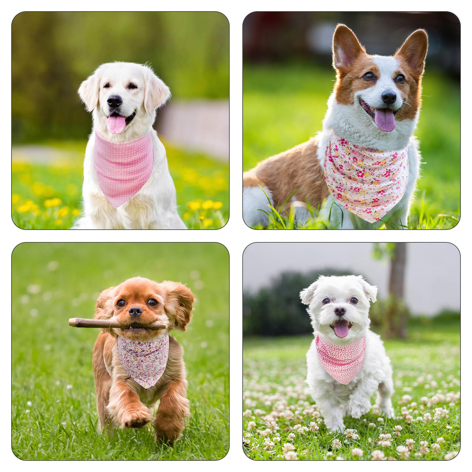 PAWCHIE 5 Pack Reversible Dog Bandanas - Adjustable Floral Pet Scarves for Small Dogs & Cats | Soft Triangle Bibs & Square Kerchiefs | Perfect for Spring Outfits, Costume Parties & Daily Pet Fashion Accessories