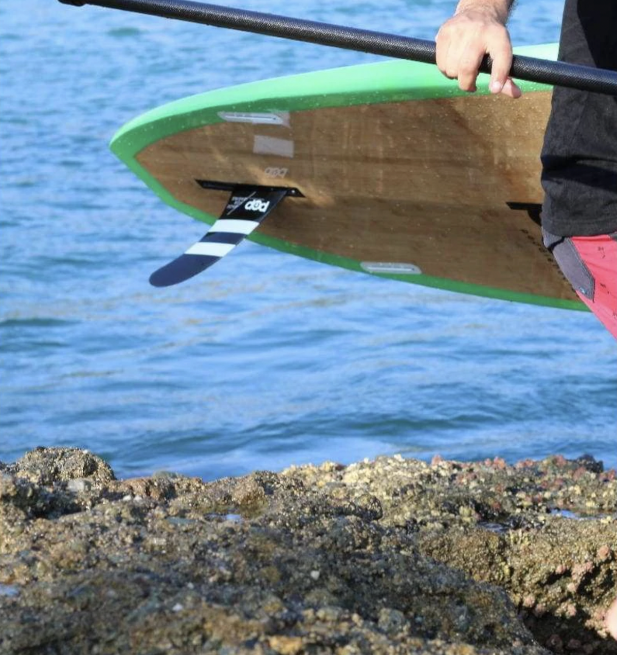 Premium POP Rigid 11' Huckleberry Allround Mint Bamboo Skateboard Deck - Perfect for Street Skating, Tricks & Commuting