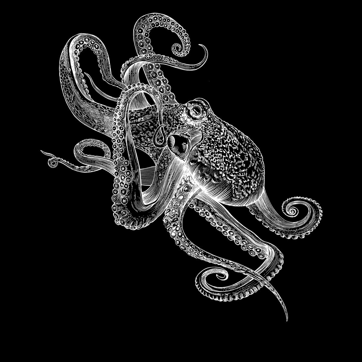 Design By Humans Women's White Octopus Graphic Racerback Tank Top - Soft Cotton Athletic Shirt for Yoga, Gym & Summer Outfits