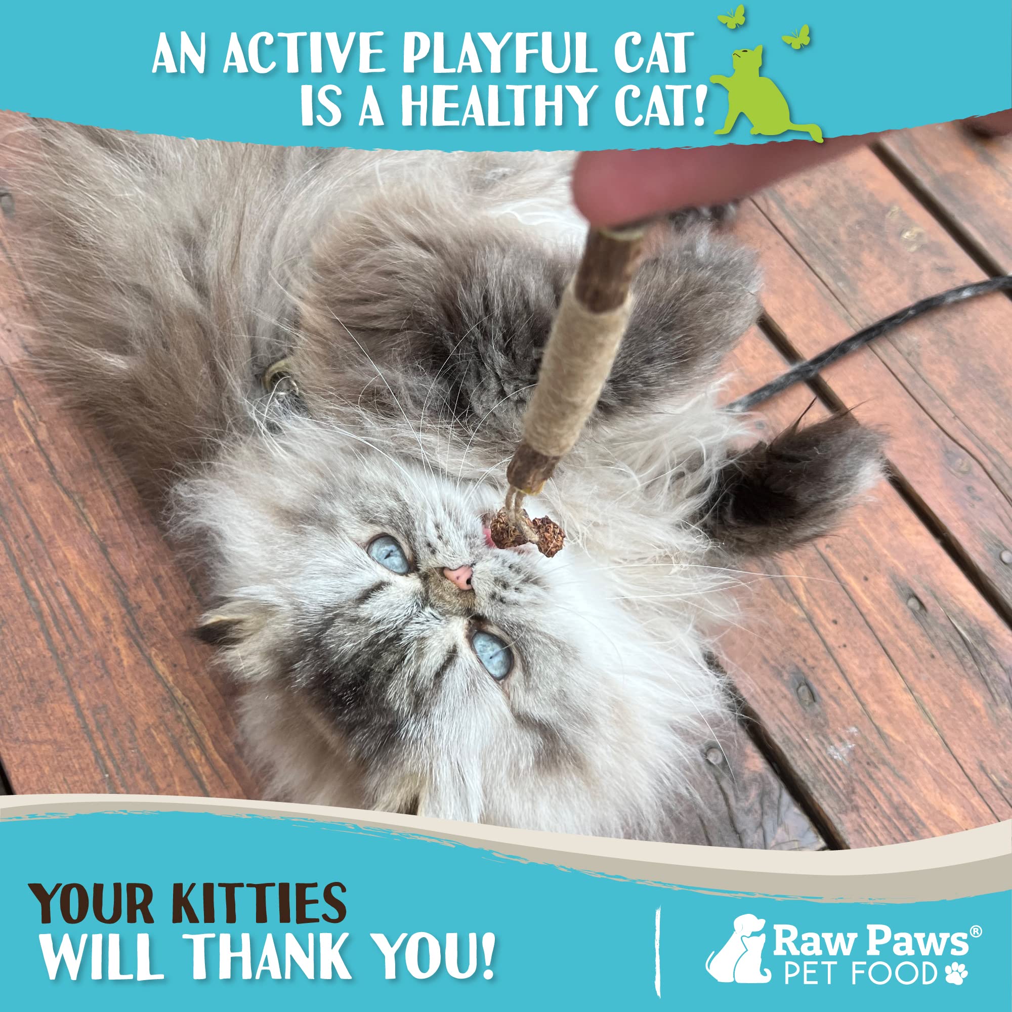 Raw Paws Silvervine Stick Cat Toys - 3 Pack Interactive Catnip & Feather Toys for Indoor Cats | Kicker Toy with Matatabi Sticks | Perfect for Playtime, Exercise & Bonding with Your Feline