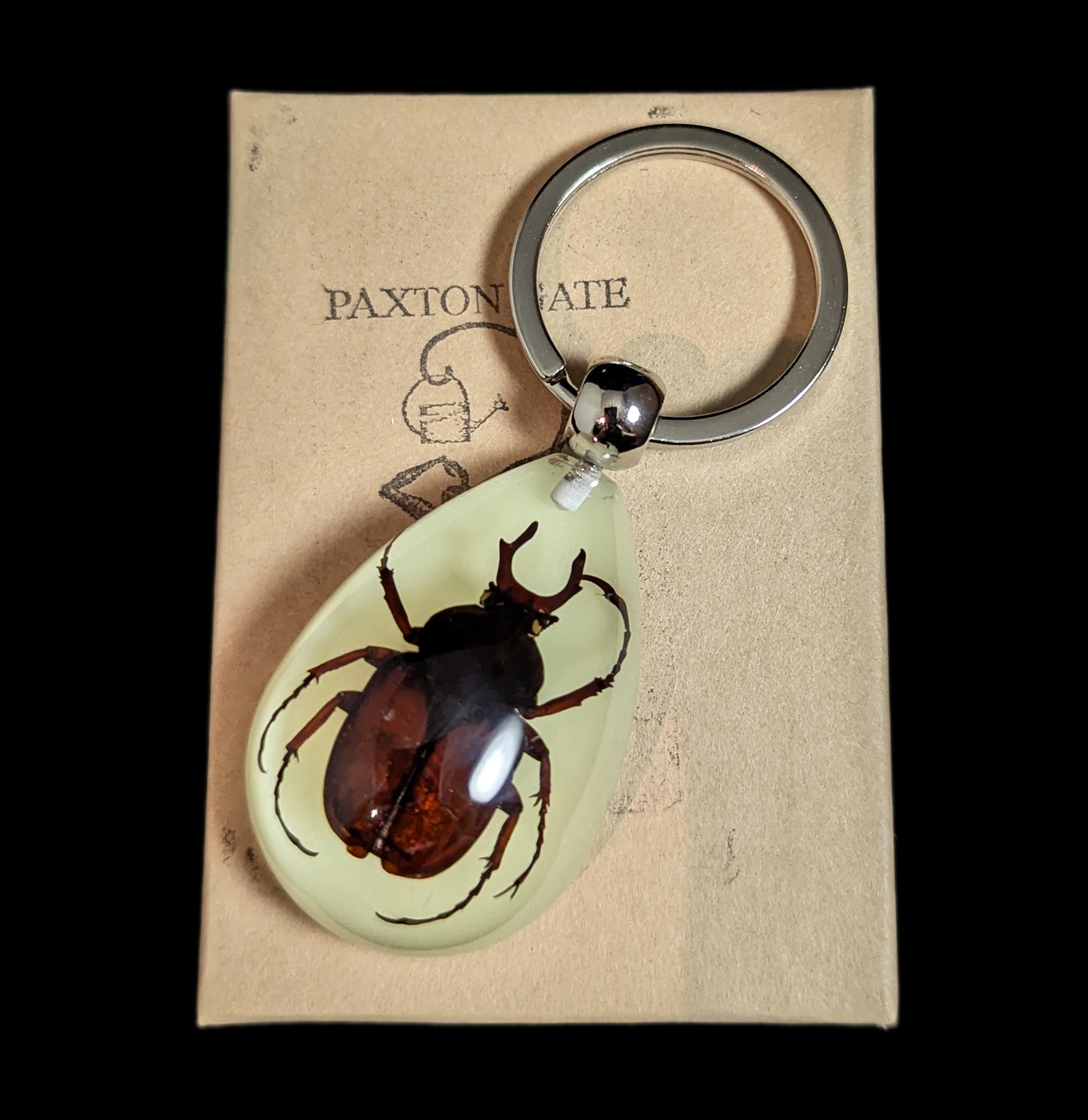 Glow in the Dark Antler Stag Beetle Keychain - Unique Night Vision Key Ring for Outdoor Camping, Hiking & Nighttime Safety