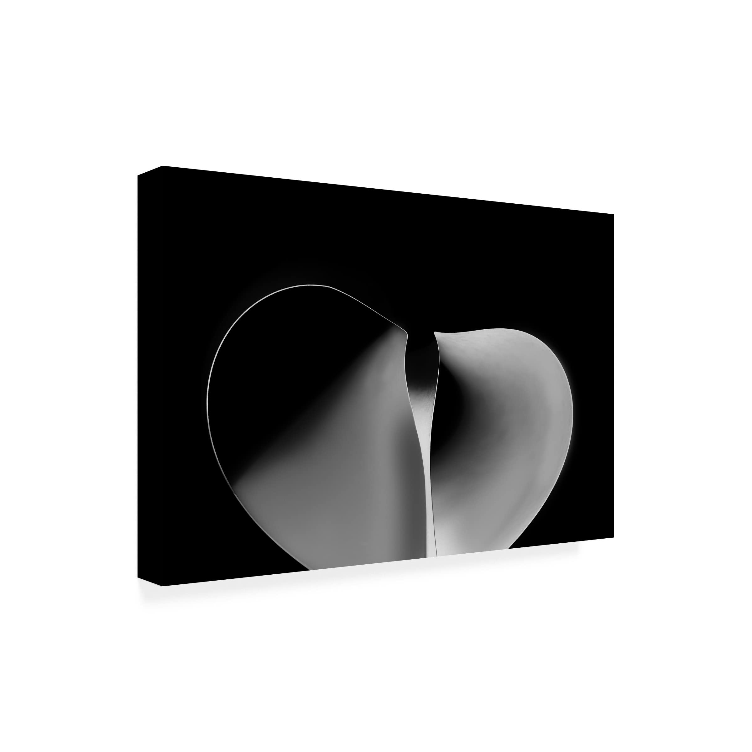 Trademark Fine Art 'Affection' Canvas Wall Art by Jutta Kerber - Romantic Home Decor for Living Room, Bedroom & Office