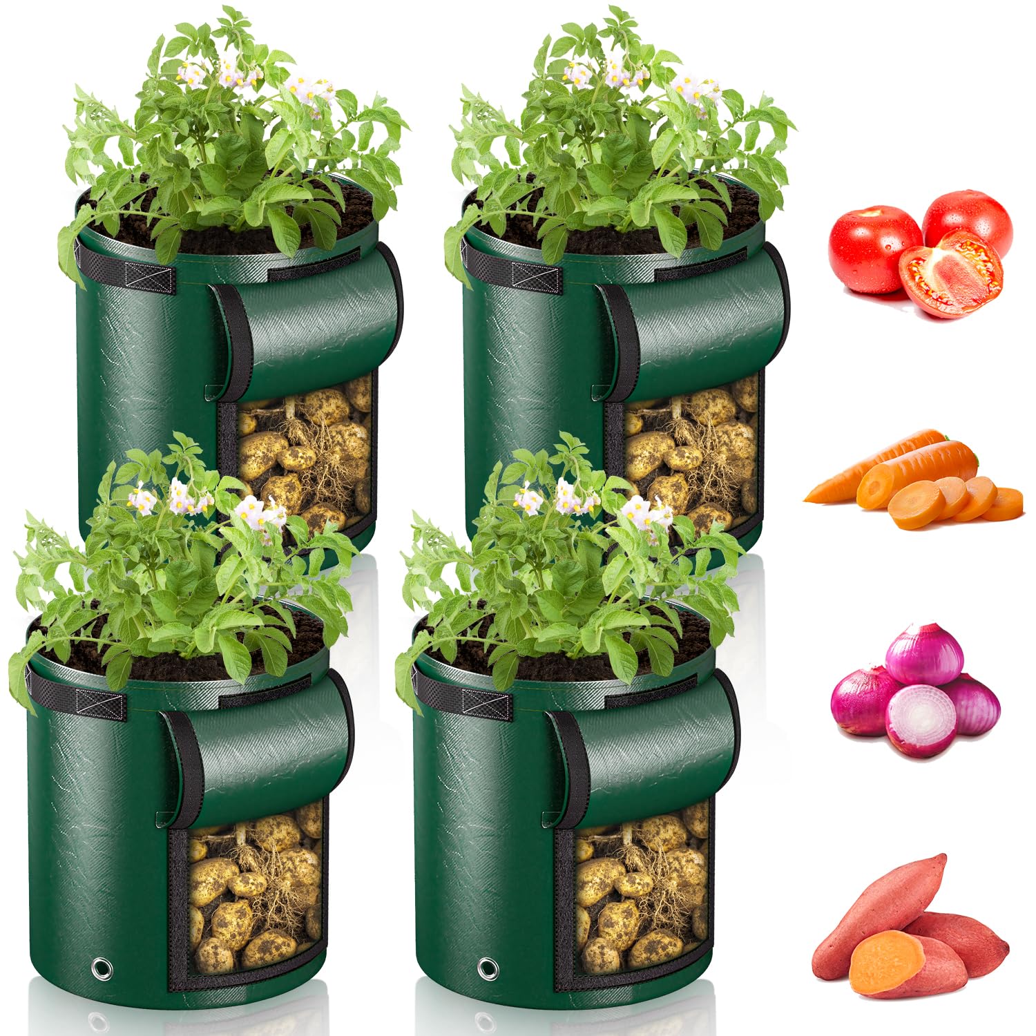 7 Gallon Potato Grow Bags 4 Pack - Heavy Duty Fabric Planting Bags with Viewing Window & Drainage Holes - Perfect for Growing Potatoes, Carrots, Onions, Tomatoes - Ideal for Home Gardening, Urban Farming & Small Space Vegetable Cultivation