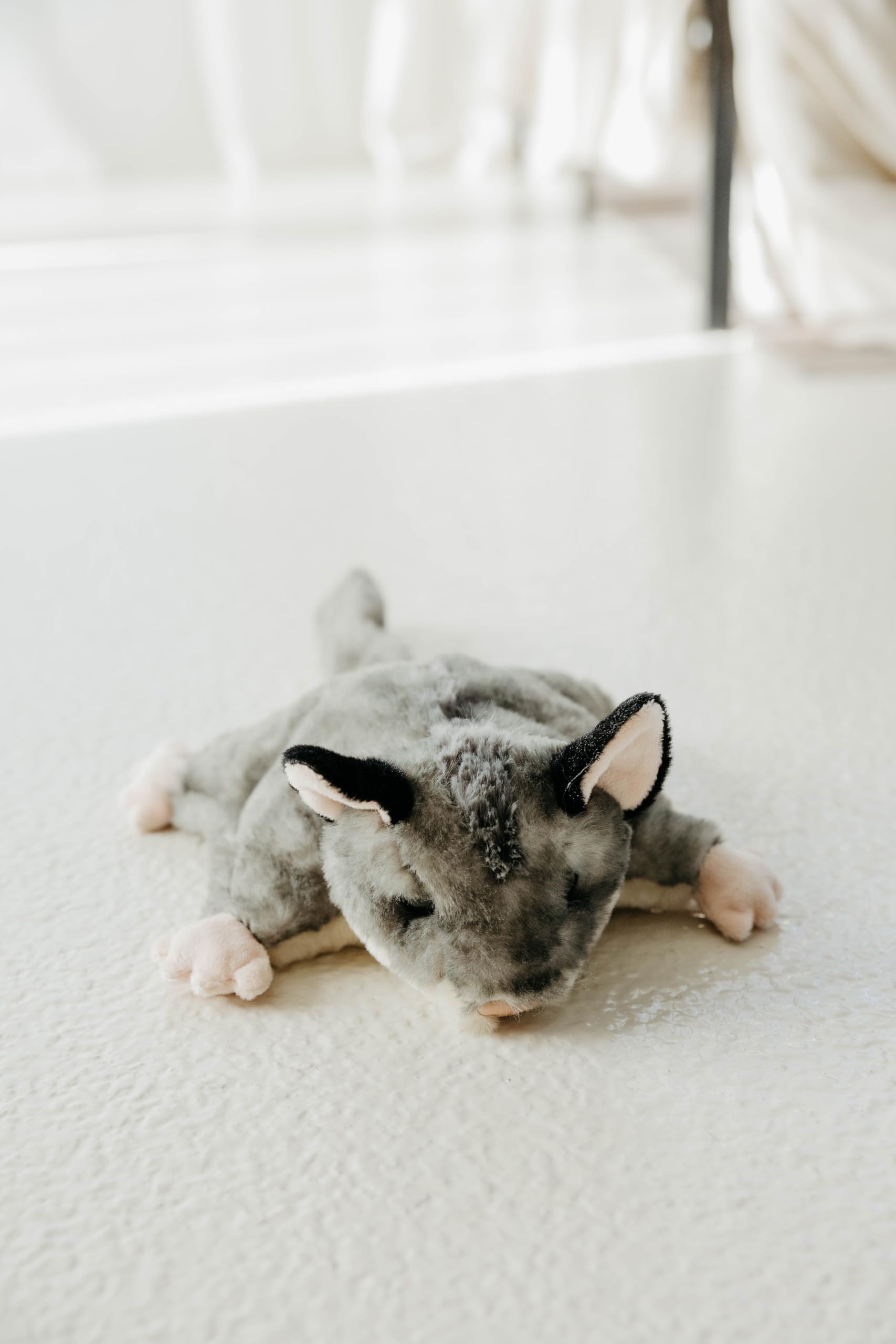 Cute Sugar Glider Stuffed Animal Plush Toy - 9
