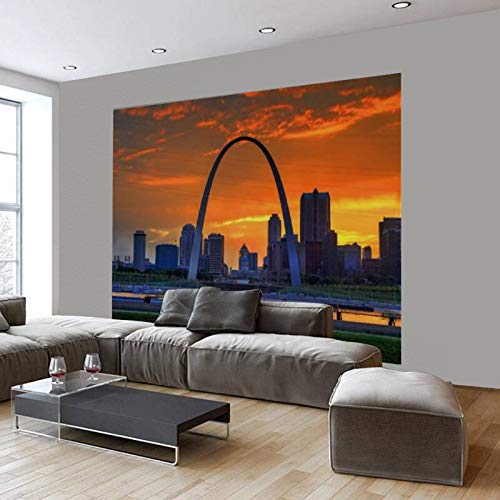 St. Louis Missouri Skyline Wall Mural - Self-Adhesive Removable Peel & Stick Wallpaper with Gateway Arch View - Home Decor for Living Room, Bedroom, Office - Easy DIY Wall Decal & Poster Sticker for Home Craft Projects