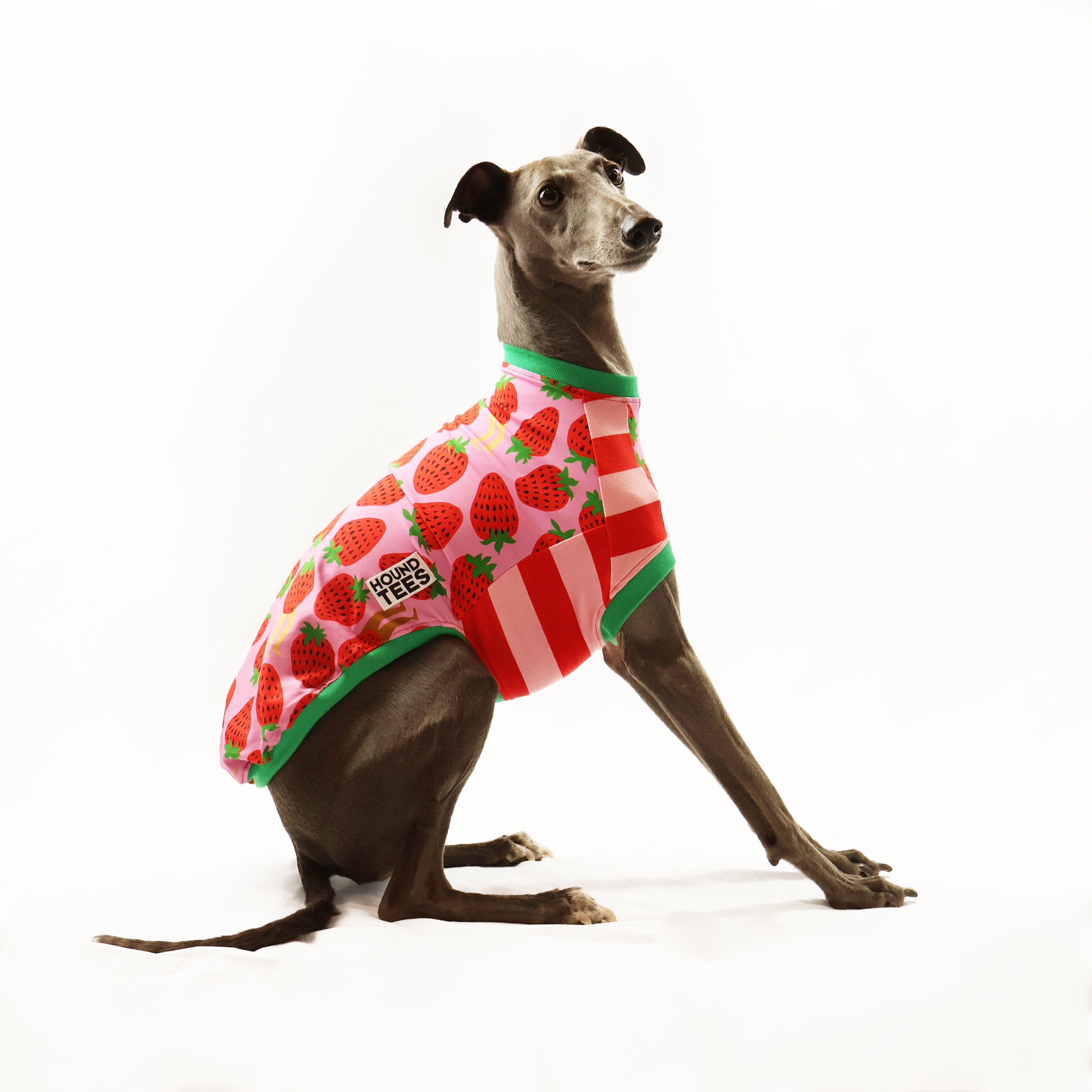 Sweet Legs Whippet Sleeveless Hound Tee - Comfortable Dog Lover T-Shirt for Women | Perfect for Casual Wear, Dog Walks & Pet Owner Gifts