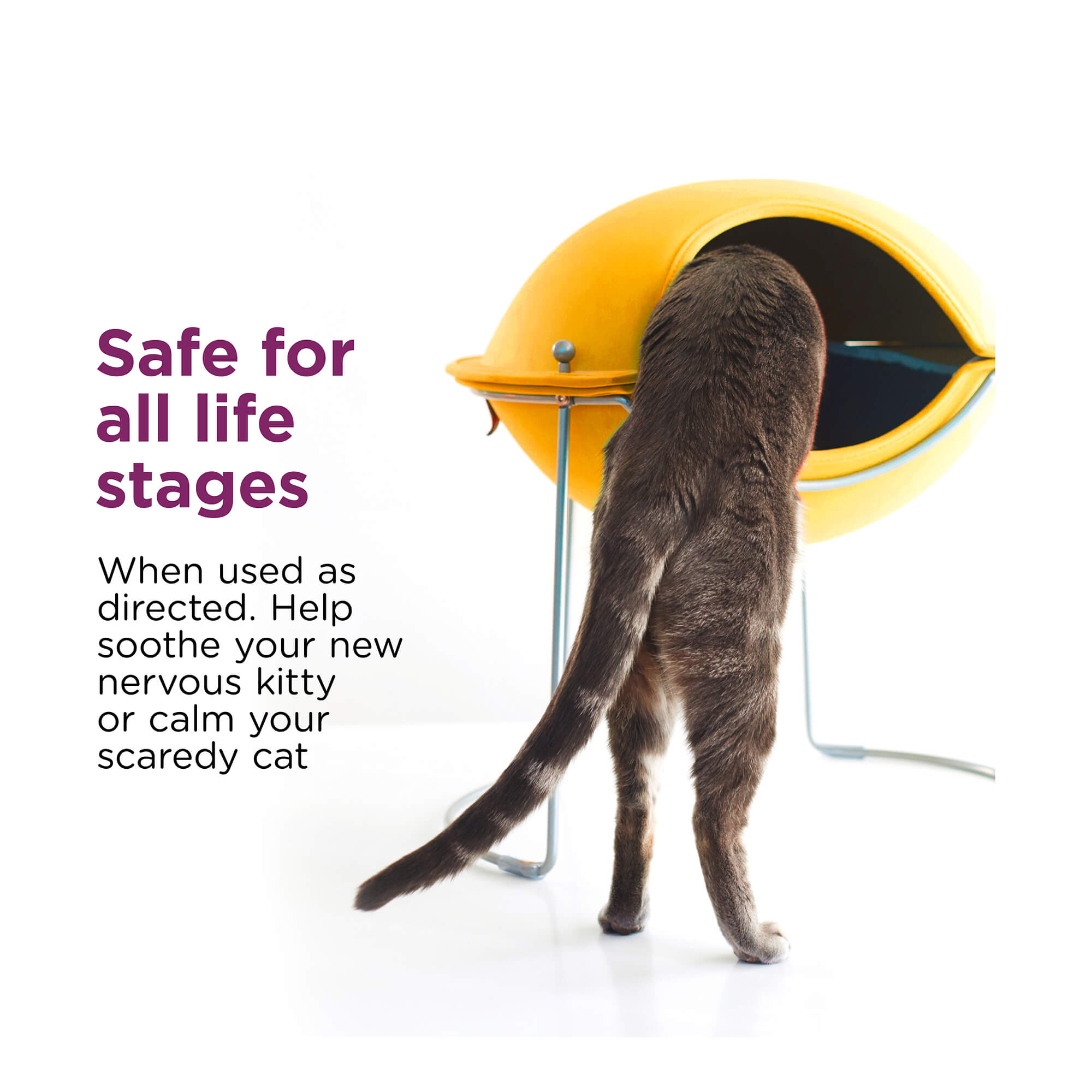 Comfort Zone Scratch Deterrent & Calming Spray for Cats - Stop Scratching Furniture & Reduce Anxiety | Perfect for Multi-Cat Homes & Stressful Situations