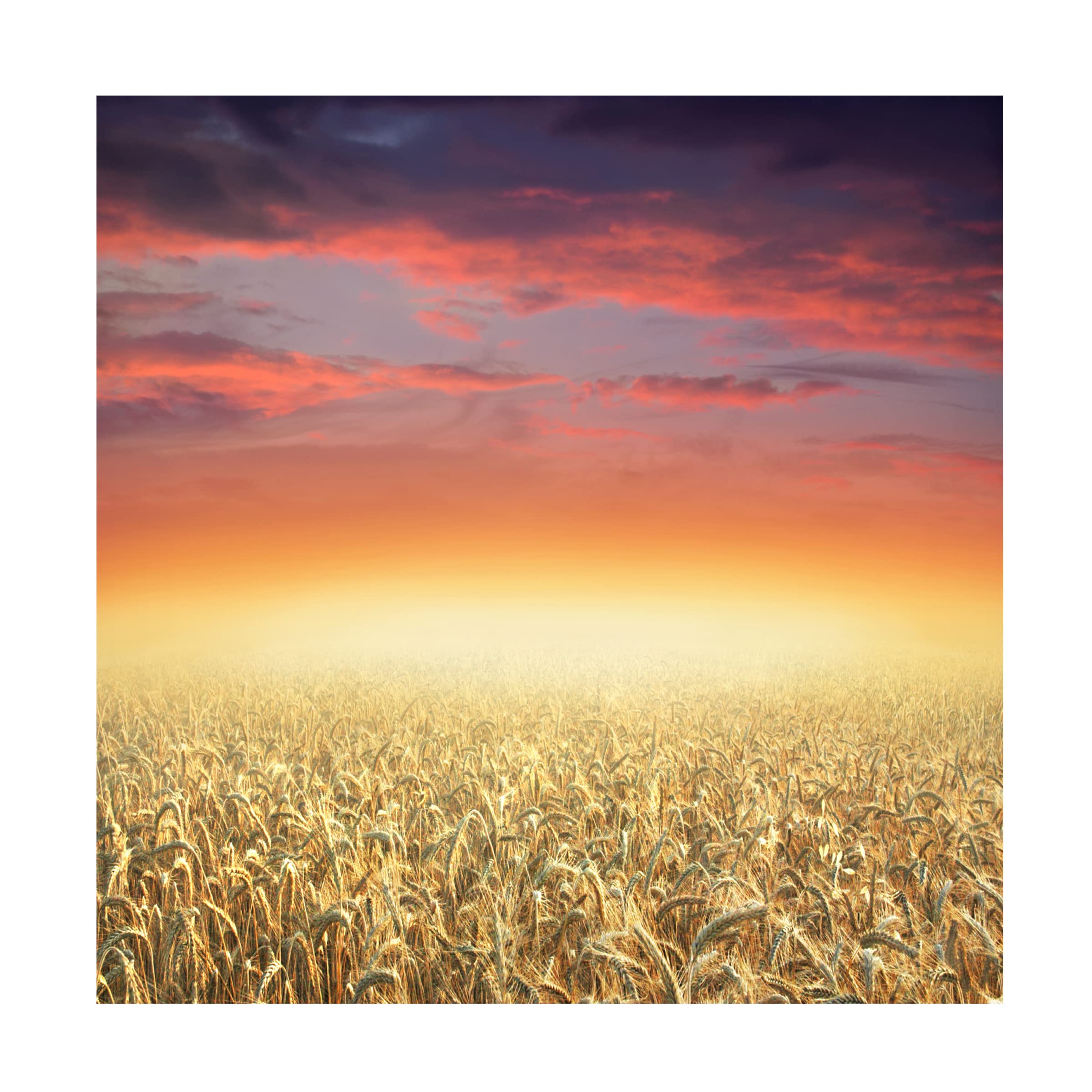Ben Heine 'Glowing' Canvas Art Print - Modern Wall Decor for Living Room, Bedroom & Office - Trademark Fine Art Collection