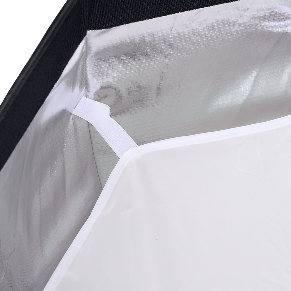 Amaran Octa Dome 60 Softbox (2') - Professional Photography Lighting Diffuser for Studio, Portrait, and Video Shooting
