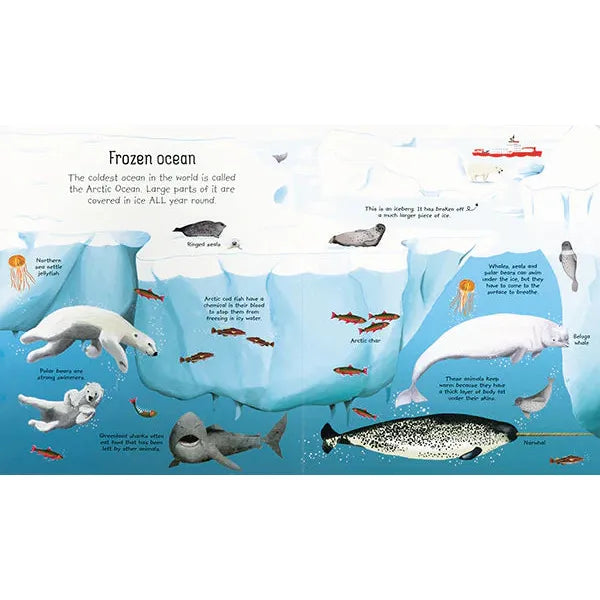 My First Seas & Oceans Book - Educational Marine Life Picture Book for Kids | Perfect for Homeschooling, Classroom Learning & Bedtime Stories
