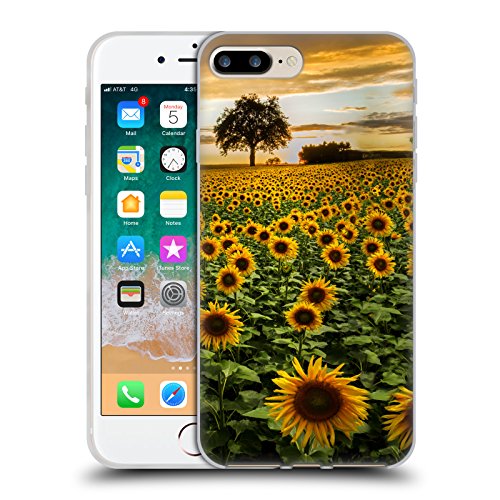 Big Sunflower Field