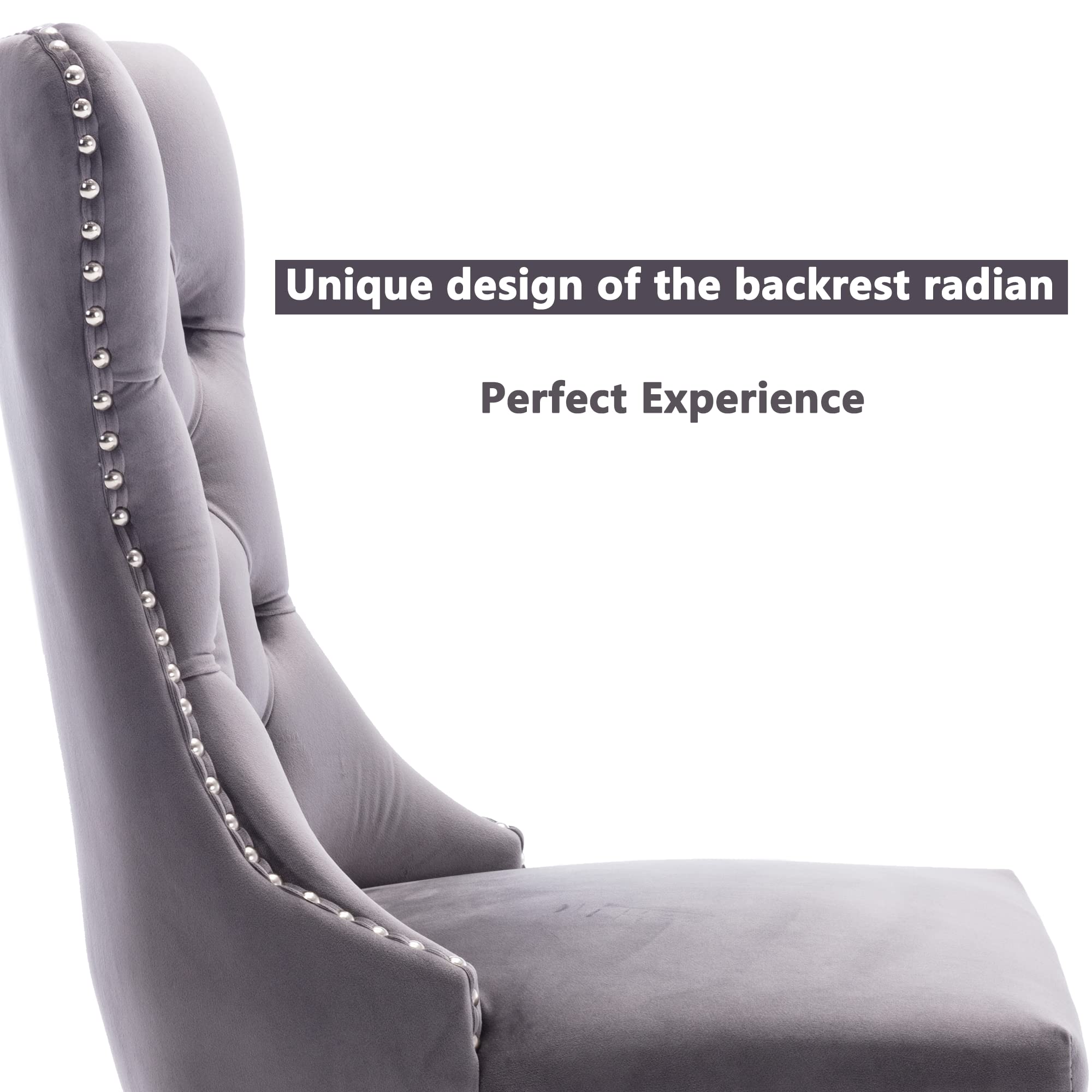 Virabit Tufted Velvet Dining Chairs Set of 2 - Upholstered Kitchen Chairs with Nailhead Trim & Solid Wood Legs - Elegant Grey Accent Chairs for Dining Room, Bedroom or Home Office Decor