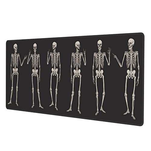 Skull Human Skeleton
