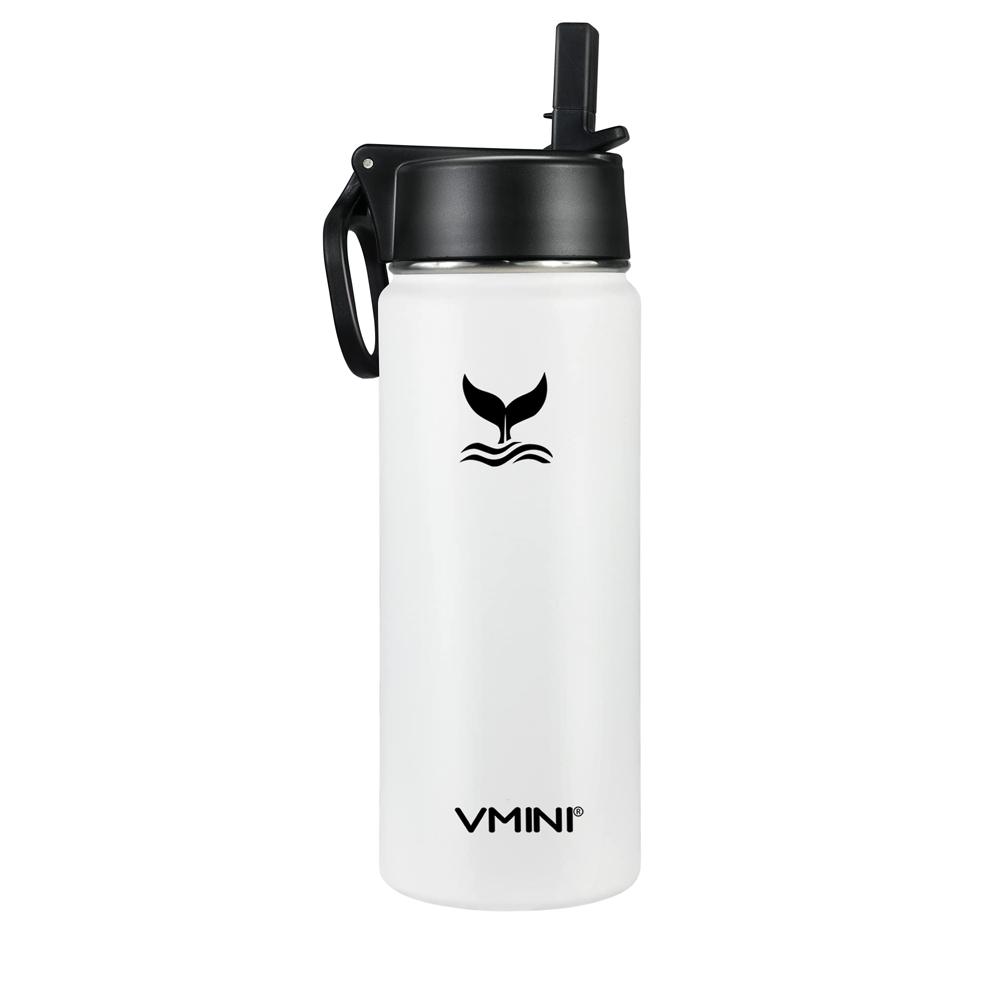 Vmini Stainless Steel Water Bottle with Straw - 18oz, Insulated for Hot & Cold Drinks - Gym & Travel