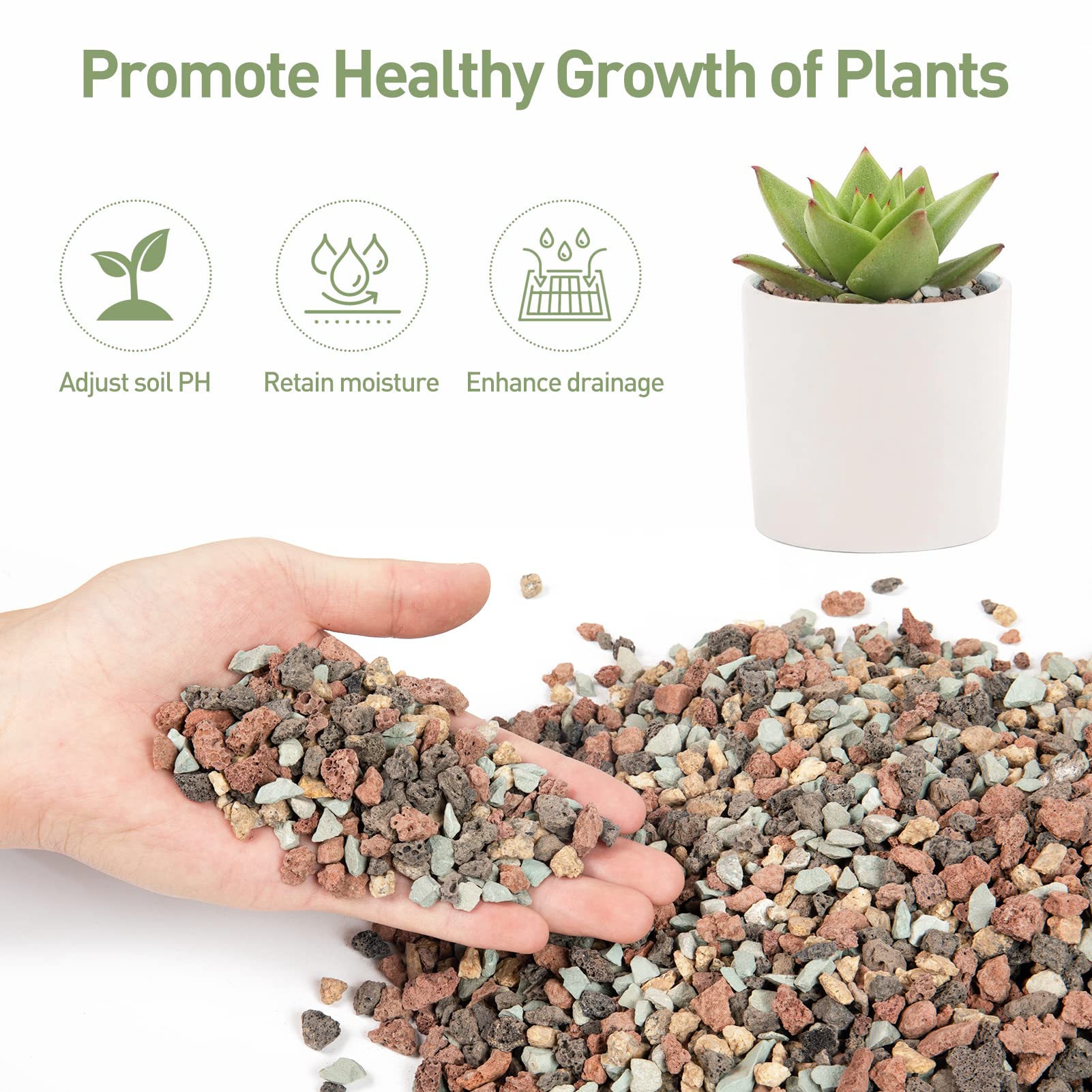 GASPRO 2.5lbs Volcanic Lava Rocks for Plants - 1/5 Inch Pea Gravel for Succulents, Indoor Pots, Terrariums, Cacti, Bamboo & Bonsai Trees | Natural Drainage Solution | Perfect for Top-Dressing & Decorative Landscaping