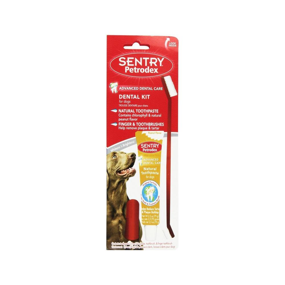 Organic Peanut Butter Flavor Dog Dental Kit - Teeth Cleaning Chew Toys & Toothbrush for Fresh Breath - Perfect for Puppy Oral Care & Dental Hygiene at Home