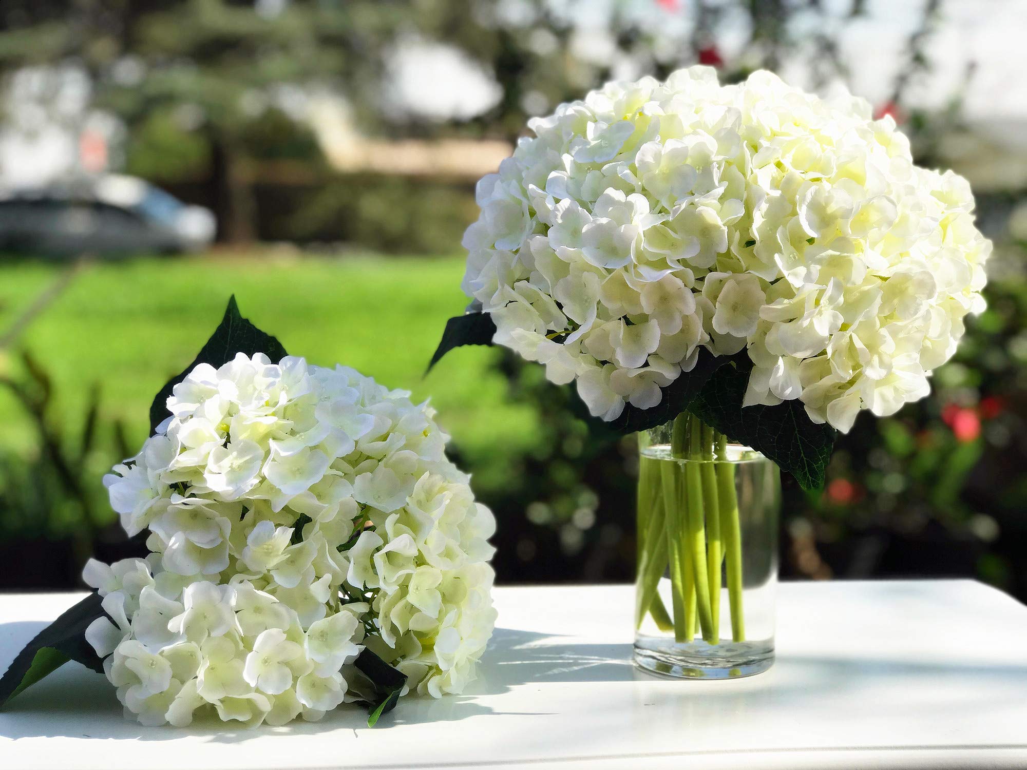 ENOVA HOME Artificial Silk Hydrangea Flower Bouquet in Clear Glass Vase with Faux Water - Cream Floral Arrangement for Wedding Centerpiece, Home Decor, Office & Tabletop Decoration
