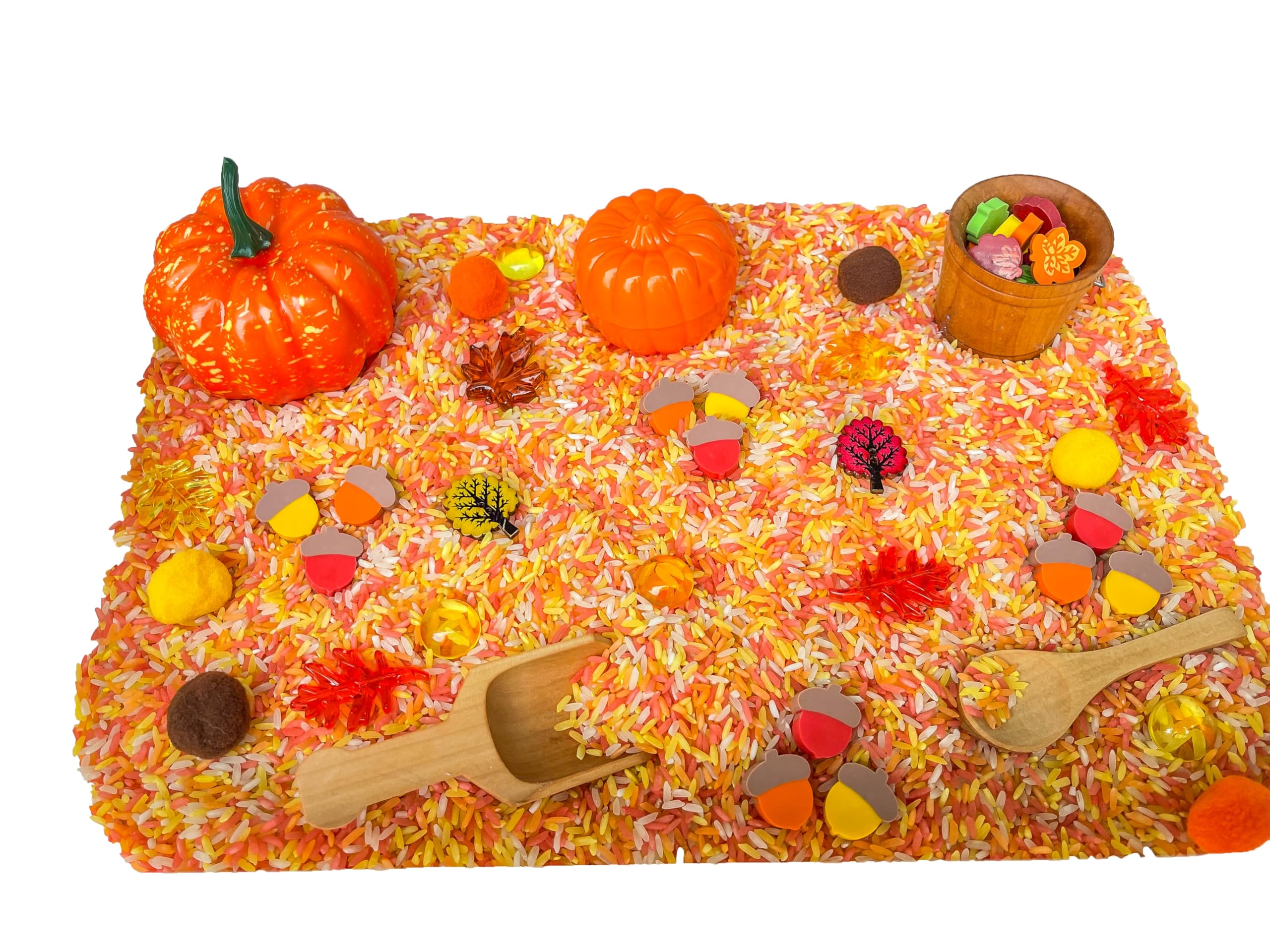 Montessori Sensory Bins for Kids - Fall Themed Sensory Toys for Preschoolers | Educational Sensory Play for Toddlers | Perfect for Classroom & Homeschool Learning Activities