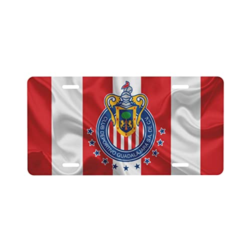 C.D.Guadalajara 2