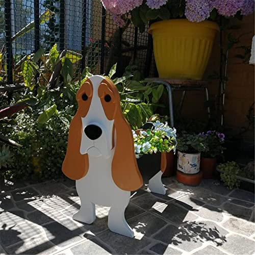 Basset Hound