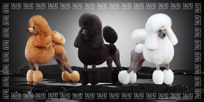 Tauro Pro Line Microfiber Towel - Ultra Absorbent, Quick Drying, 31.5x63 Inches - Perfect for Gym, Sports, Travel & Home Use