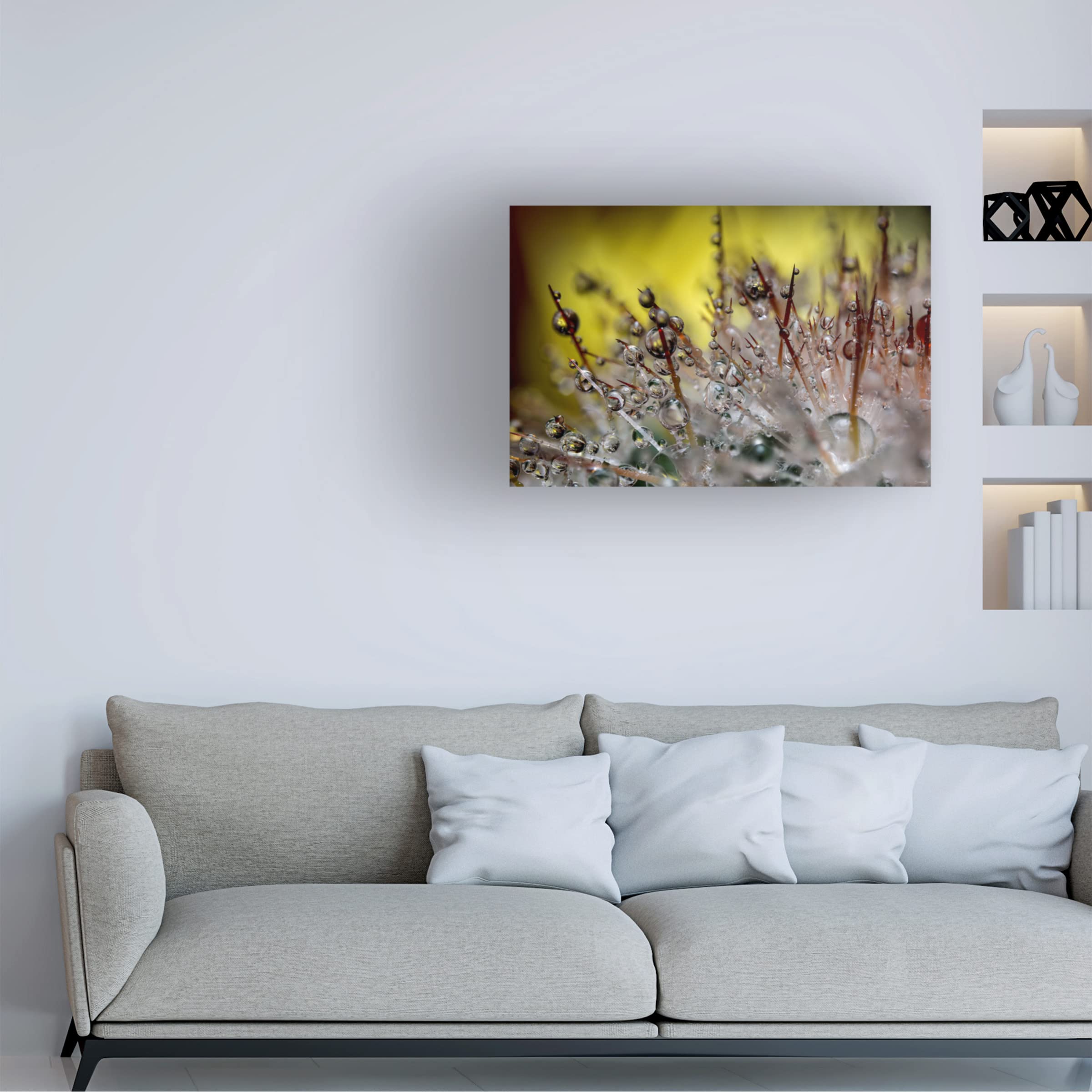 Gordon Semmens 'Cactus Flowers 13' Canvas Art Print - 16x24 Inches - Modern Desert Wall Decor for Living Room, Bedroom & Office