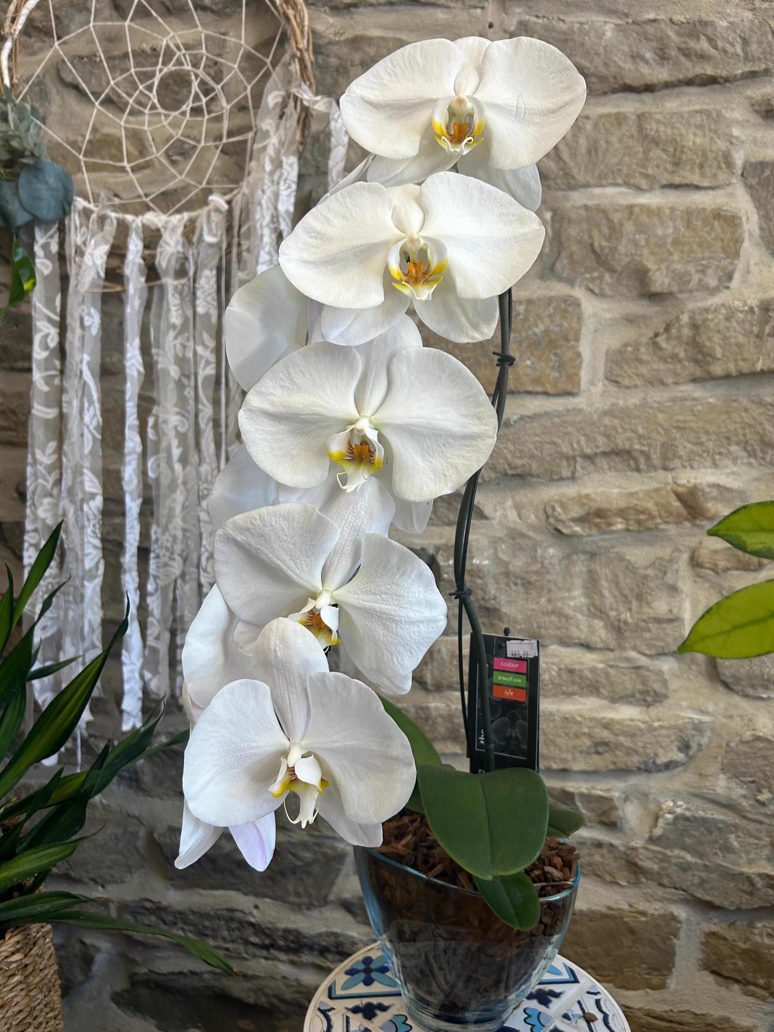Exquisite Swan Orchids - Premium Artificial Silk Flowers for Home Decor, Wedding Centerpieces & Floral Arrangements
