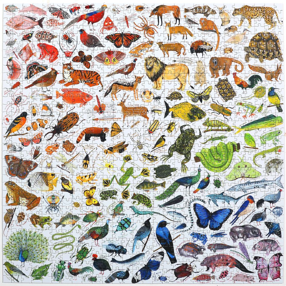 eeBoo A Rainbow World 1000 Piece Jigsaw Puzzle - Colorful Educational Puzzle for Adults & Kids - Perfect for Family Game Night & Stress Relief