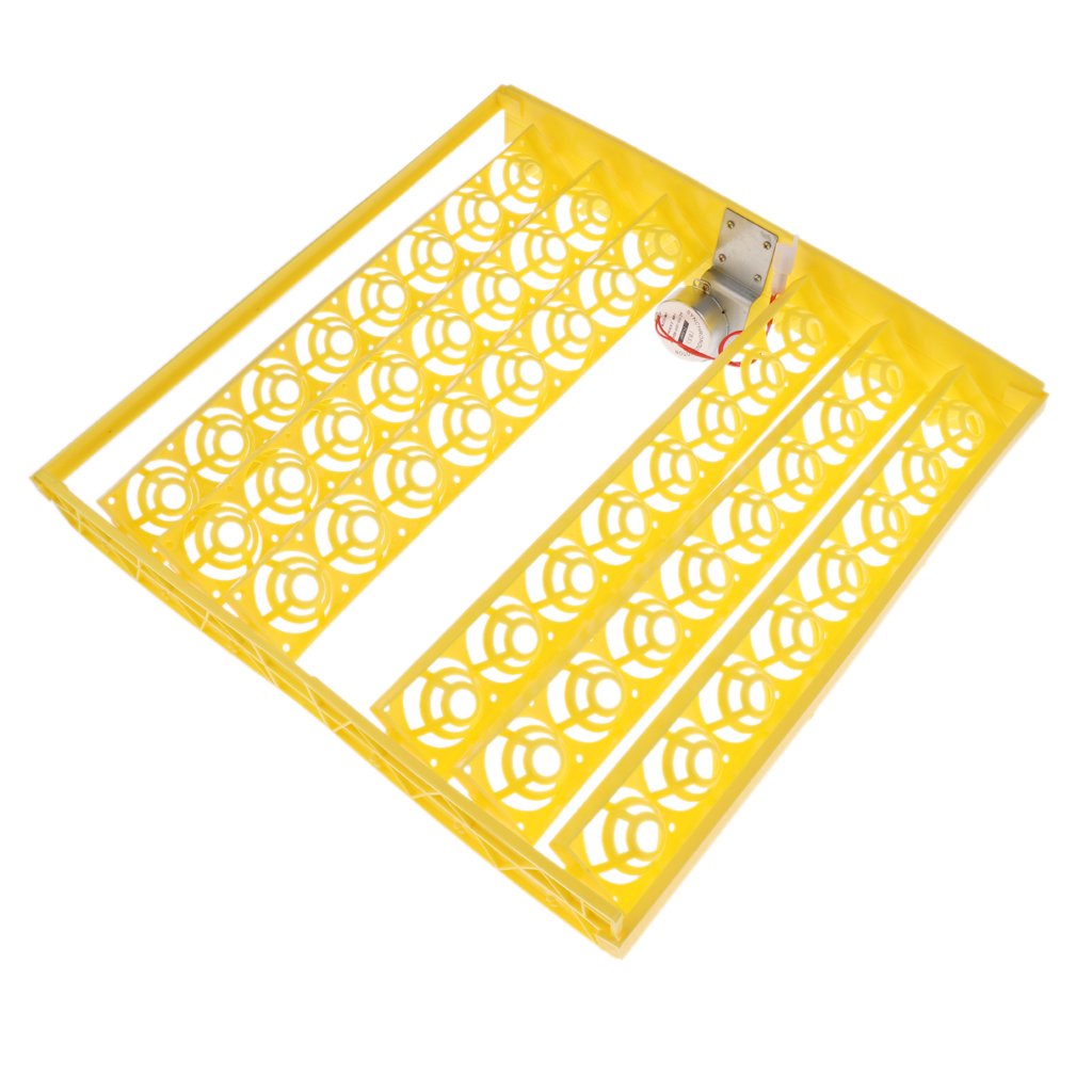 B Baosity 4 Automatic Egg Incubator Turner for Chicken Birds - Digital Poultry Hatcher with Temperature Control - Perfect for Backyard Chicken Farming & Hobbyist Bird Breeding