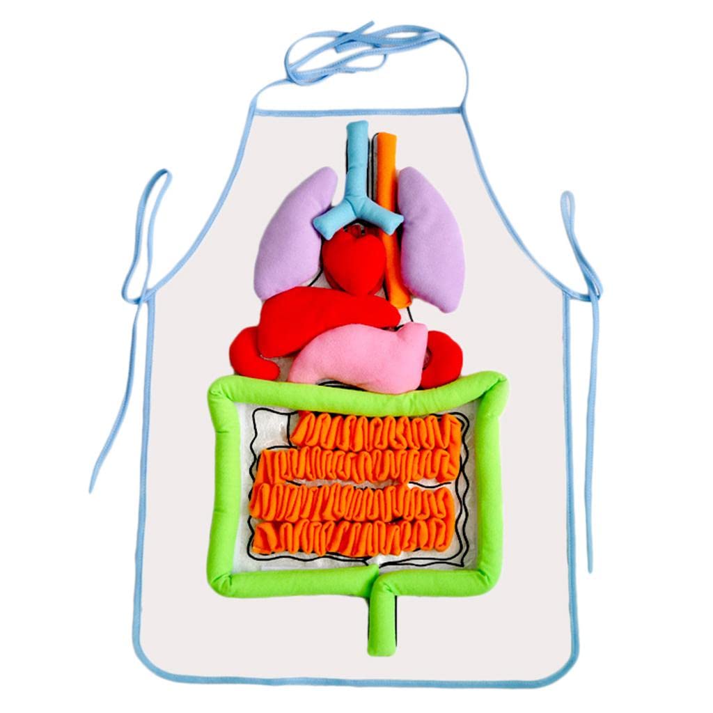 Colcolo Kids Educational Body Apron - Interactive Learning Apron for Children's Science & Cooking Activities - Perfect for Classroom, Kitchen & STEM Play