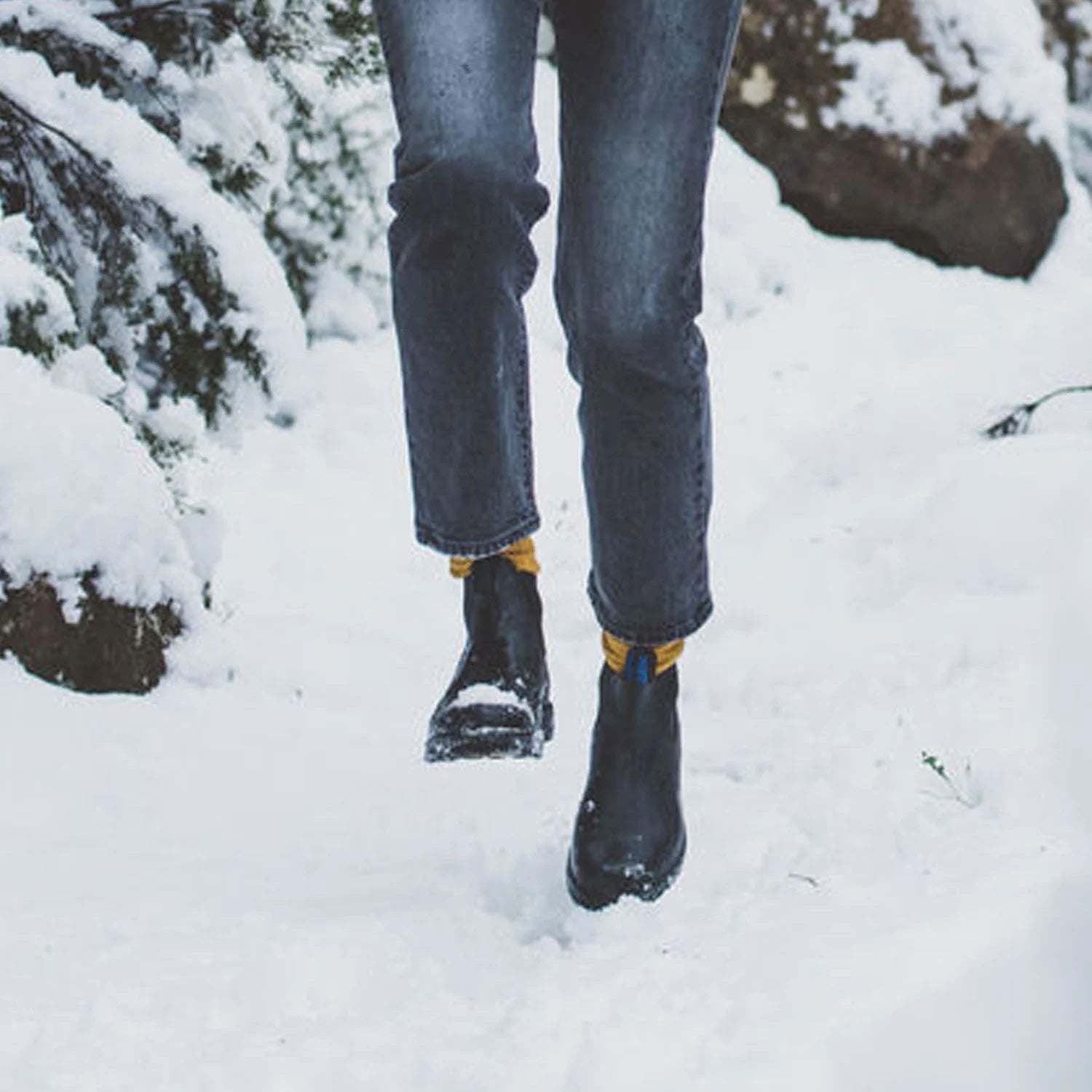 Blundstone 566 Winter Thermal Boots for Men & Women - Waterproof Insulated Chelsea Boots for Cold Weather - Perfect for Hiking, Work & Outdoor Activities