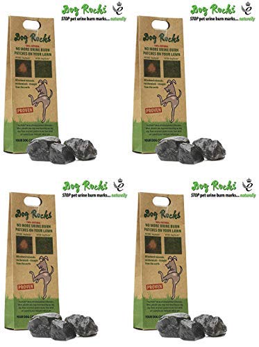 Dog Rocks - Natural Pet-Safe Lawn Protector (4-Pack) for Grass & Burn Spots