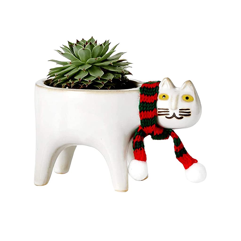 XISAOK Cute Cartoon Cat Ceramic Flower Pot with Drainage Hole - Small Succulent Planter for Cactus, Herbs, and Air Plants - Perfect for Home, Office Desk Decor and Gift Giving