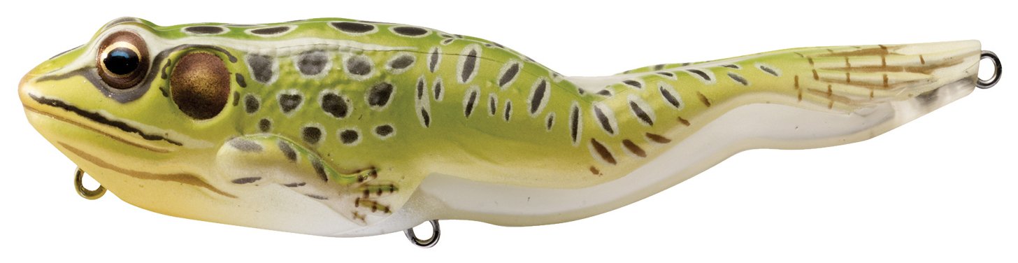 LiveTarget Frog Walking Bait - Realistic Frog Lure for Bass Fishing - Topwater Fishing Bait for Freshwater & Saltwater - Perfect for Pond, Lake, and River Fishing Adventures