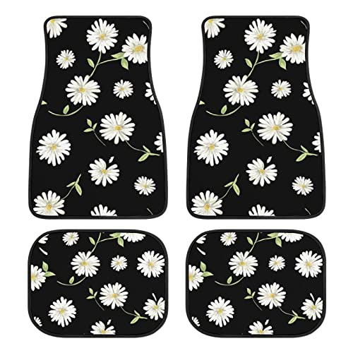 3 Daisy
