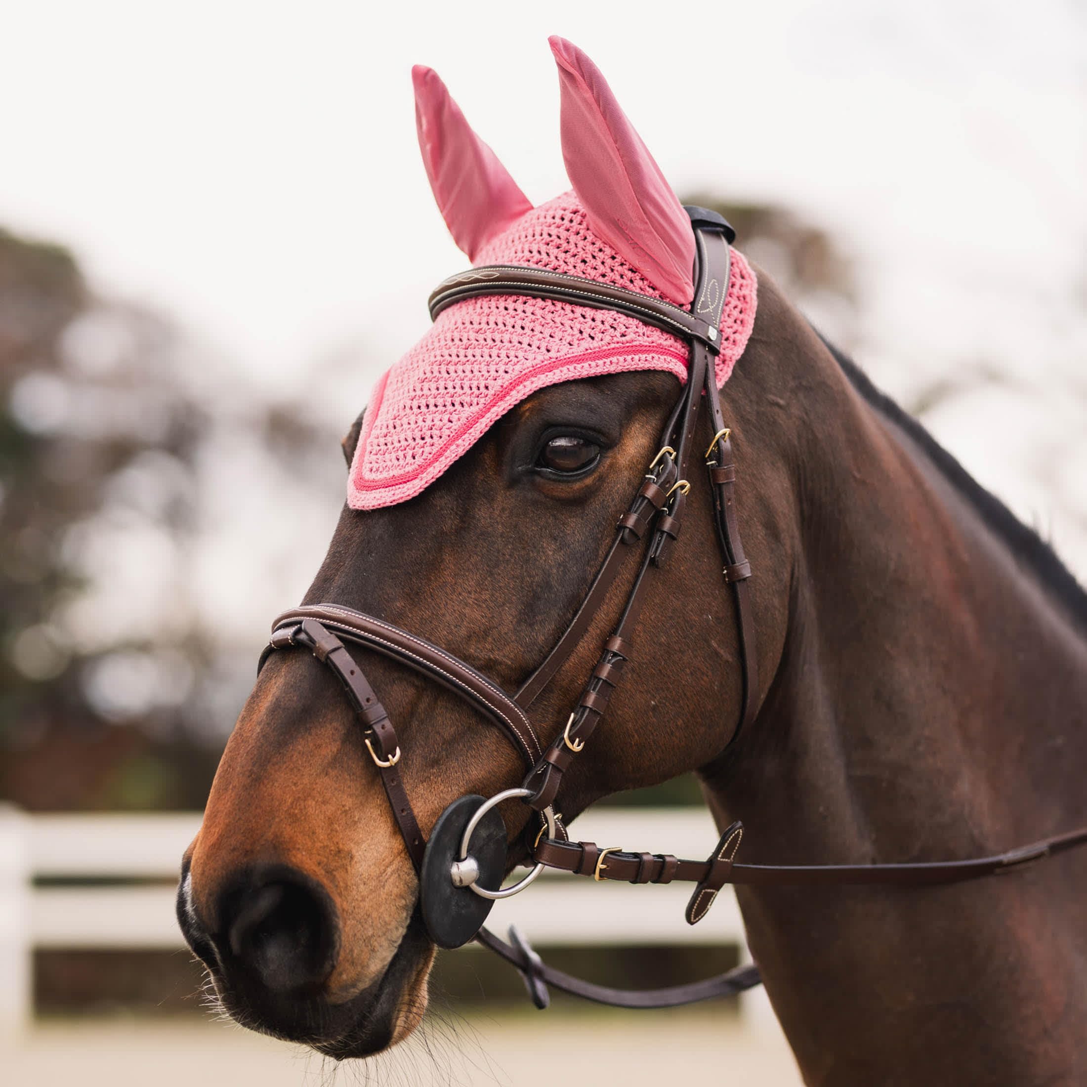 HORZE Rose Tonique Ear Net for Horses - Breathable Fly Protection in Fruit Dove Color - Ideal for Riding, Training, and Stable Use