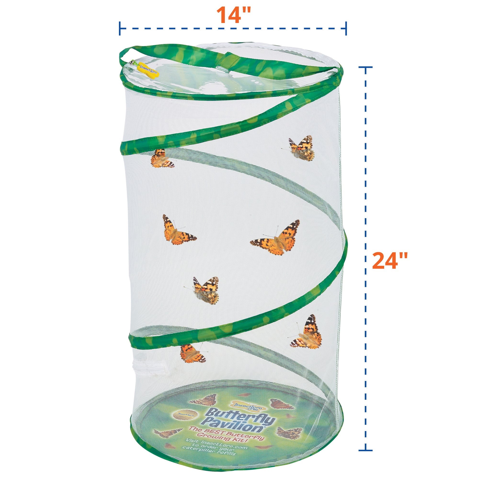 Insect Lore Easy 25 School Kit - Live Butterfly Garden Habitat for Kids - Perfect for Classroom Science Projects & Homeschool Learning