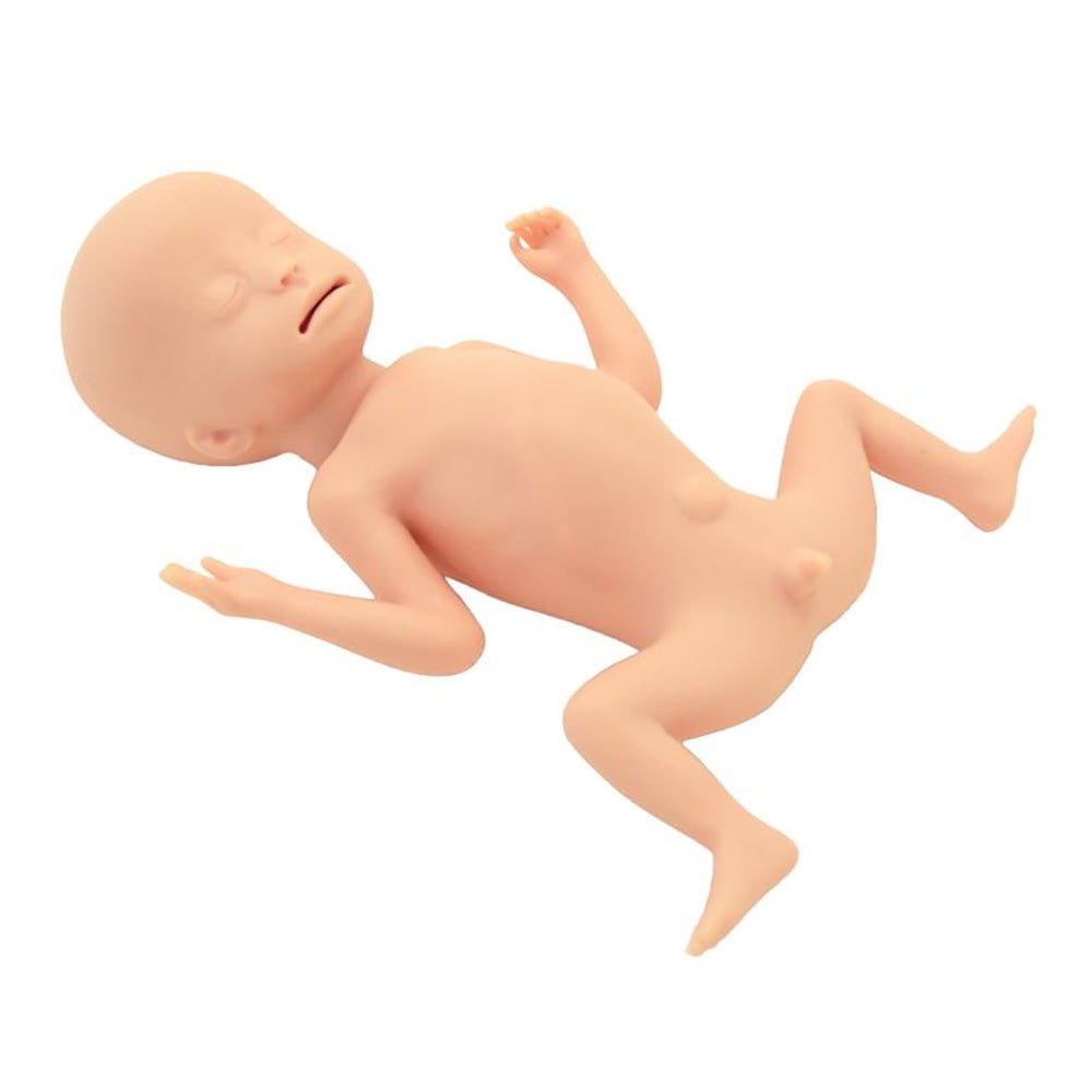 Premature Baby Simulator for Neonatal Training - Realistic Extremely Low Birth Weight Infant Model for Medical Education & Nursing Practice