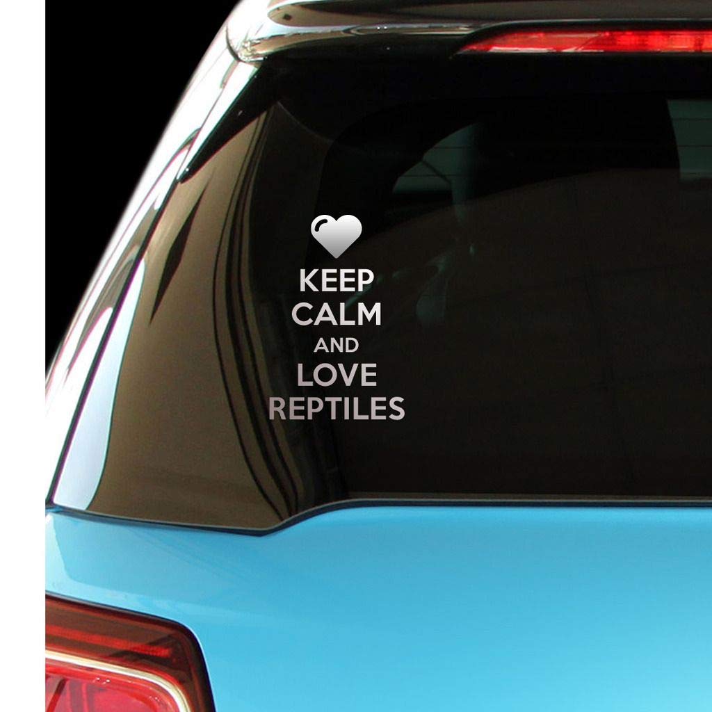 Keep Calm and Love Reptiles Vinyl Decal - Car, Laptop, Wall Sticker for Reptile Enthusiasts - Perfect for Home, Office & Dorm Decor