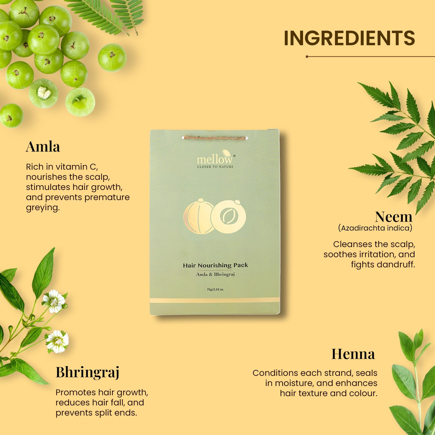 Mellow Herbals Ayurvedic Hair Nourishing Pack (75g) - Natural Hair Growth Treatment for Shiny & Healthy Hair | Prevents Hair Fall | Chemical, Paraben & Sulfate Free | Deep Conditioning for Dry, Damaged Hair | Perfect for Daily Hair Care Routine