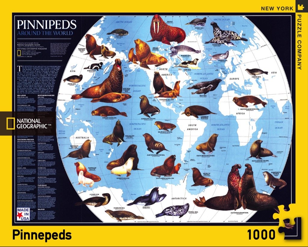 New York Puzzle Company - National Geographic Pinnipeds 1000 Piece Jigsaw Puzzle - Educational Sealife Puzzle for Adults & Teens - Perfect for Family Game Night & Home Decor