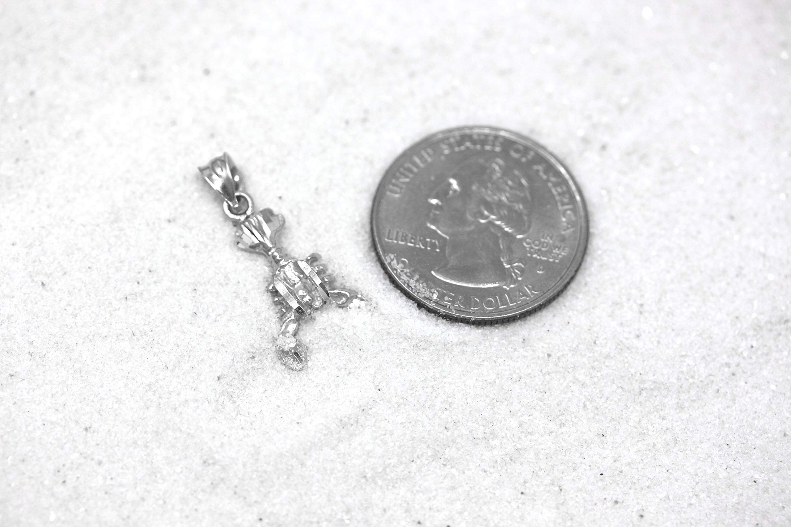 June July Zodiac Charm Necklace - Sterling Silver Crab Cancer Pendant for Women, Gift for Birthday, Anniversary & Everyday Wear