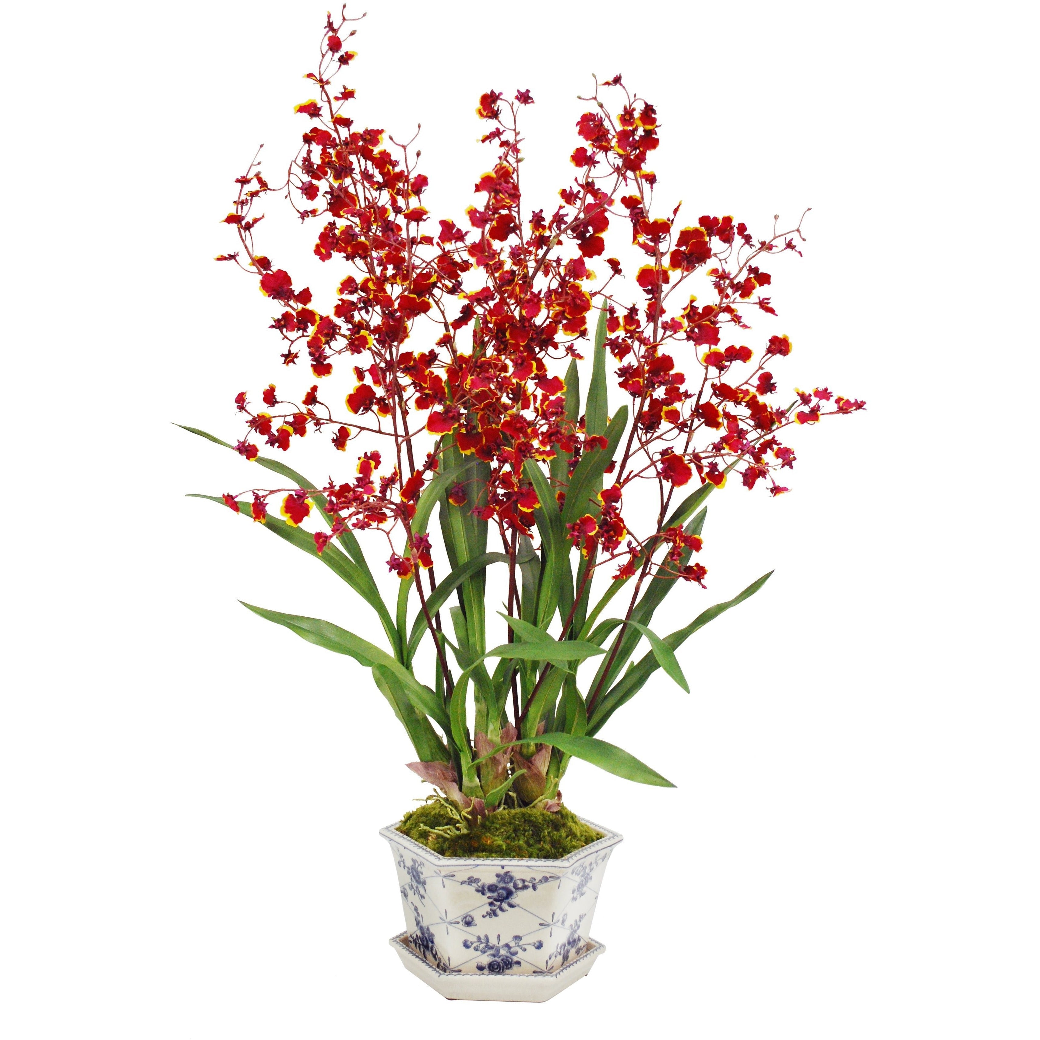 Beautiful Orchid in Rose Trellised Cachepot - Elegant Home Decor for Living Room, Office & Gift Giving
