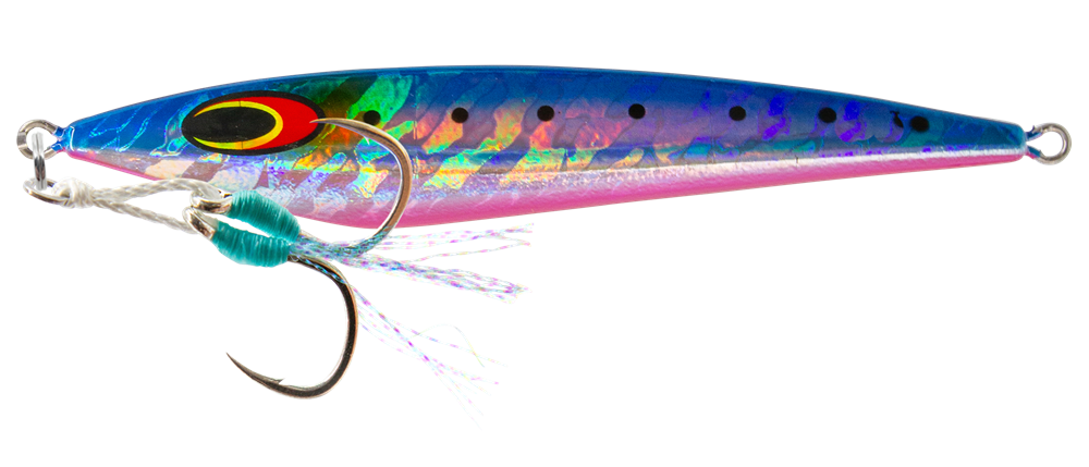 Sardine