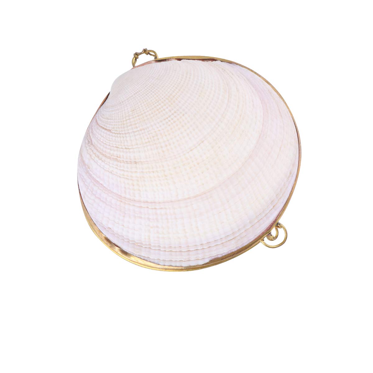 BESPORTBLE Handmade White Shell Jewelry Box - Small Jewelry Storage Case for Women, Girls Makeup Organizer & Decorative Gift Box | Perfect for Travel, Wedding Accessories & Home Decor