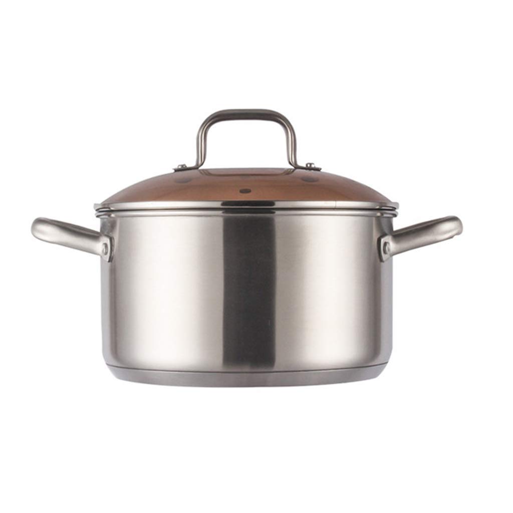 Premium 20cm Stainless Steel Stock Pot with Glass Lid - Durable Non-Stick Soup Pan, Milk Pot & Baby Food Cooker - Perfect for Kitchen, Cooking, Meal Prep & Gifts for Women